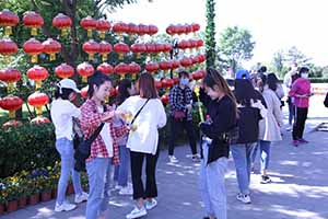 护士节扩展活动2