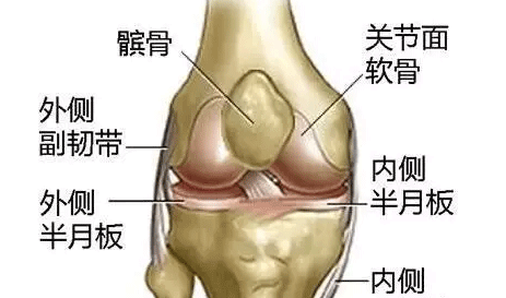 老人走不动，主要因为它