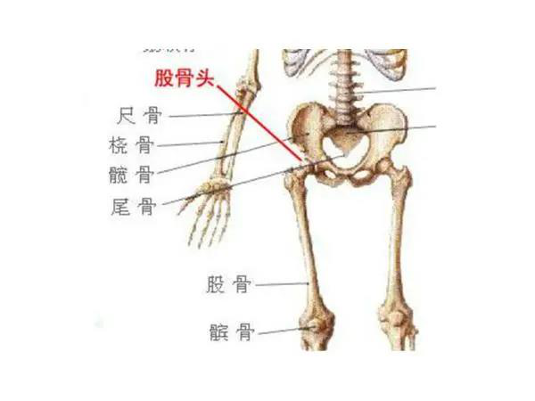 股骨头不好，不要再做这些运动！