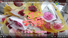 相约三月 不负韶华——北京永林医院3.8女神节健康礼遇季系列活动来了！