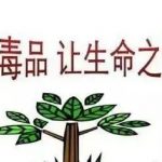 6.26国际禁毒日 · 这些禁毒知识要知晓！