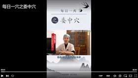 每日一穴之委中穴