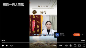 每日一药之菊花
