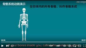 骨骼系统动画演示