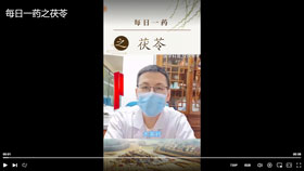 每日一药之茯苓