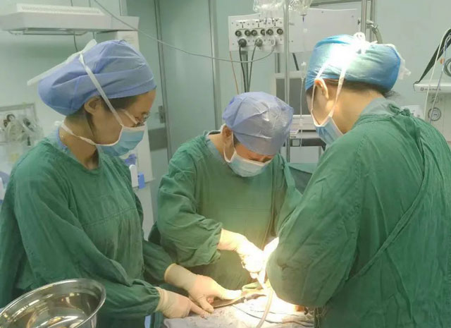 近日我院妇科完成尿失禁新型自体组织尿道中段悬固术一例