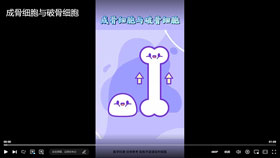成骨细胞与破骨细胞